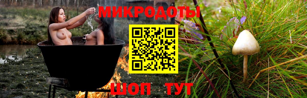 наркота  Вход с VPN  Каменка  Псилоцибиновые грибы Cubensis 