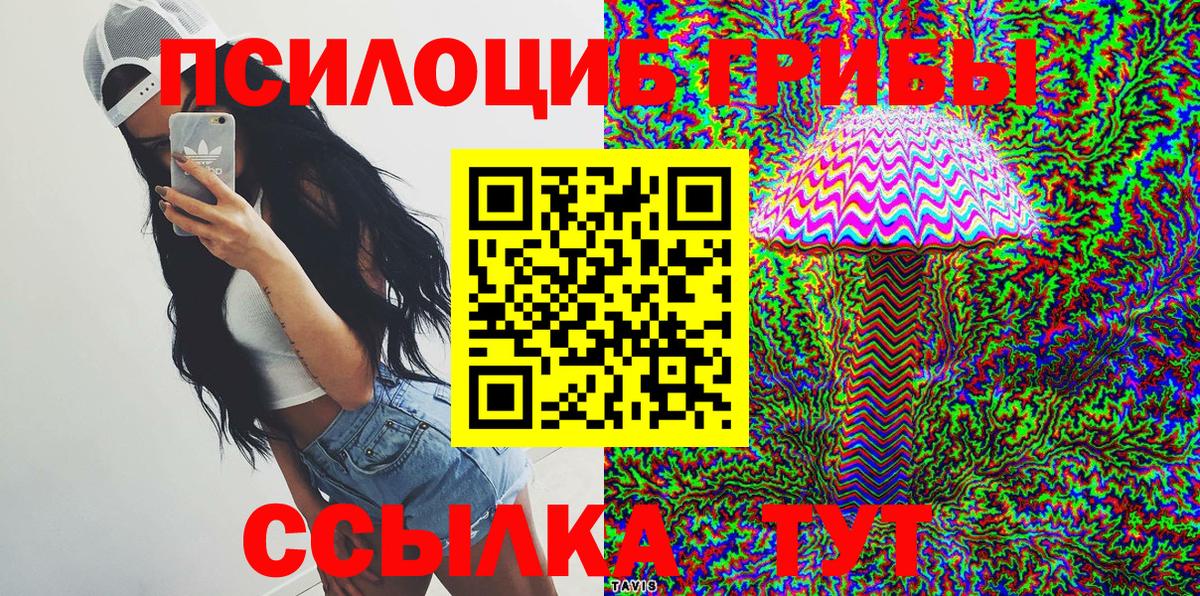Галлюциногенные грибы Psilocybine cubensis Каменка